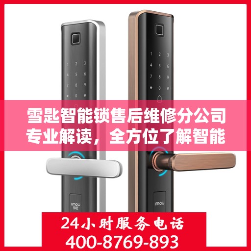 雪匙智能锁售后维修分公司专业解读，全方位了解智能锁维护与保障
