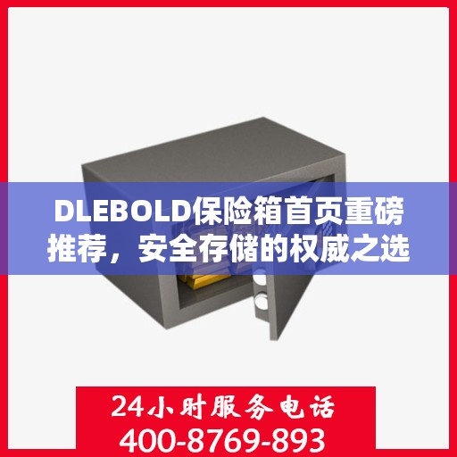 DLEBOLD保险箱首页重磅推荐，安全存储的权威之选