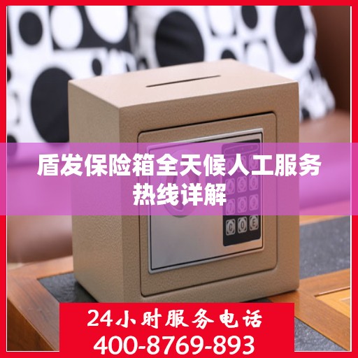 盾发保险箱全天候人工服务热线详解