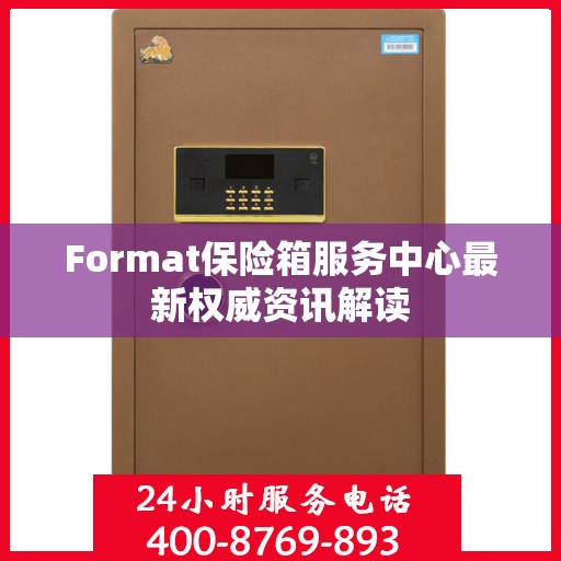 Format保险箱服务中心最新权威资讯解读