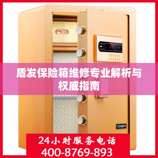 盾发保险箱维修专业解析与权威指南
