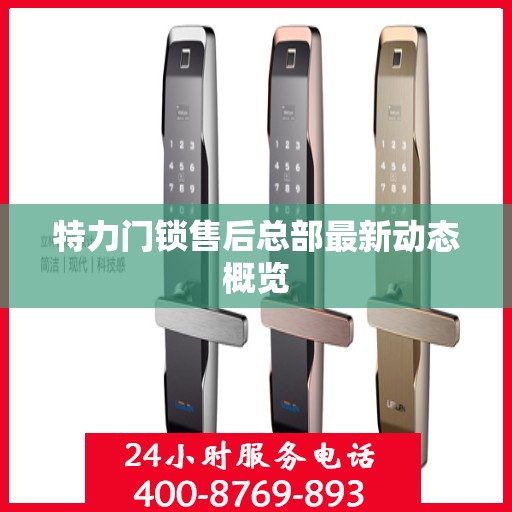 特力门锁售后总部最新动态概览