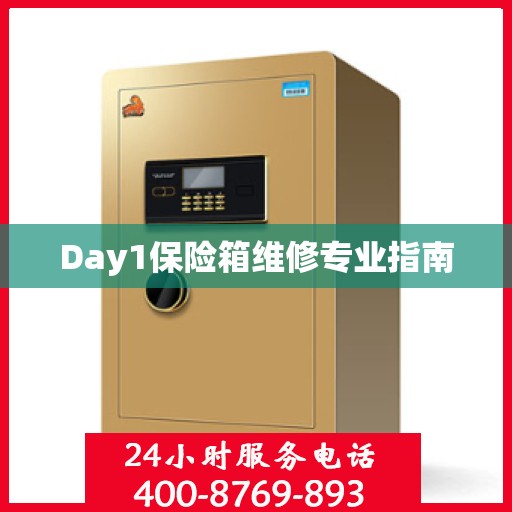Day1保险箱维修专业指南
