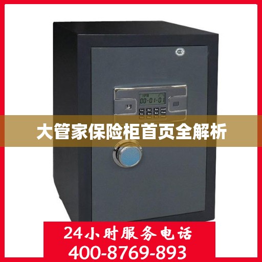 大管家保险柜首页全解析