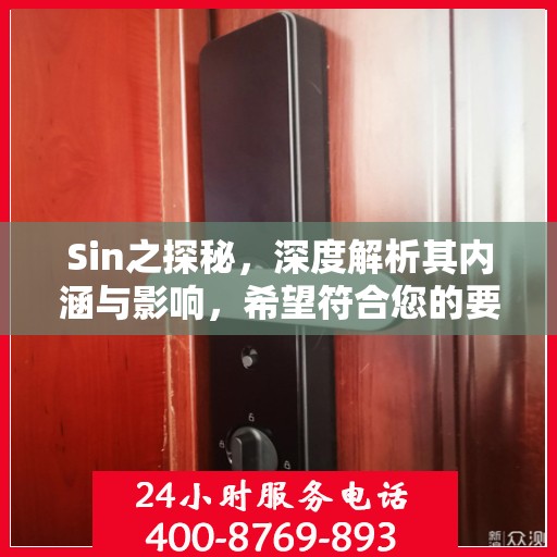 Sin之探秘，深度解析其内涵与影响，希望符合您的要求，您也可酌情调整。