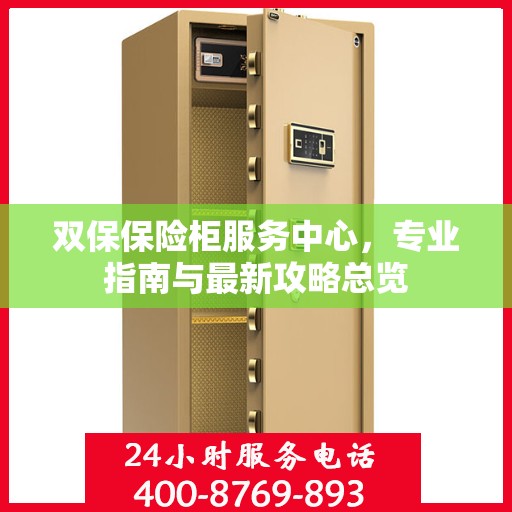 双保保险柜服务中心，专业指南与最新攻略总览