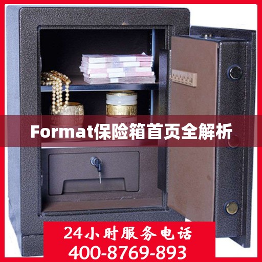 Format保险箱首页全解析