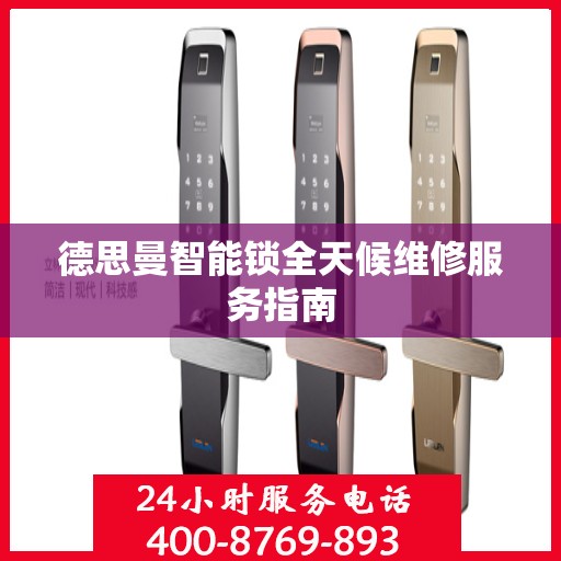 德思曼智能锁全天候维修服务指南