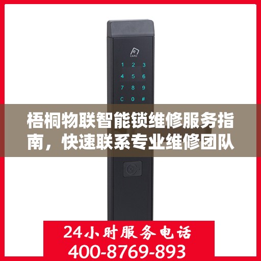 梧桐物联智能锁维修服务指南，快速联系专业维修团队的首选决策点