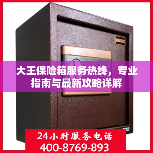 大王保险箱服务热线，专业指南与最新攻略详解