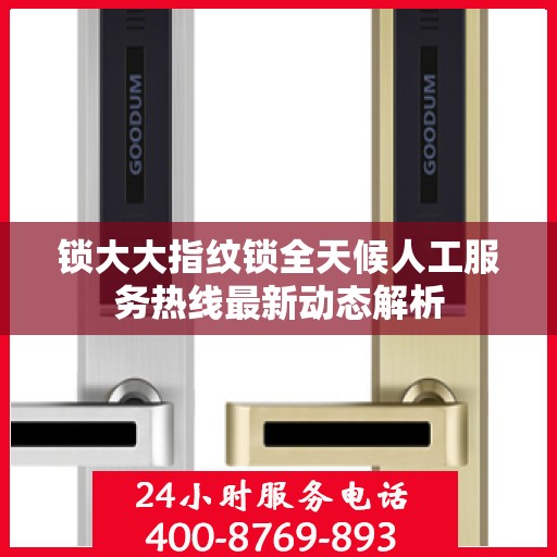 锁大大指纹锁全天候人工服务热线最新动态解析
