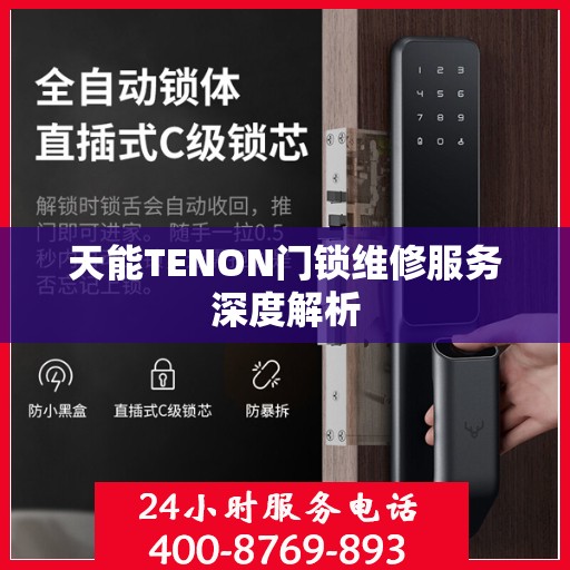 天能TENON门锁维修服务深度解析