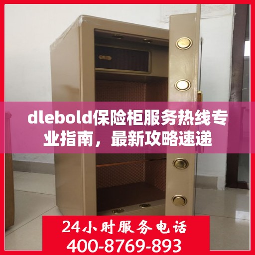 dlebold保险柜服务热线专业指南，最新攻略速递