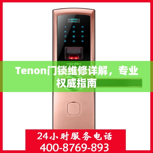 Tenon门锁维修详解，专业权威指南