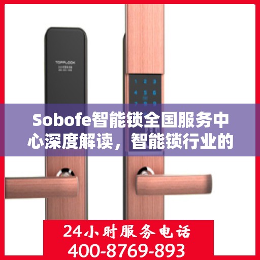 Sobofe智能锁全国服务中心深度解读，智能锁行业的权威声音