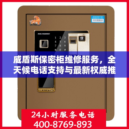 威盾斯保密柜维修服务，全天候电话支持与最新权威推荐