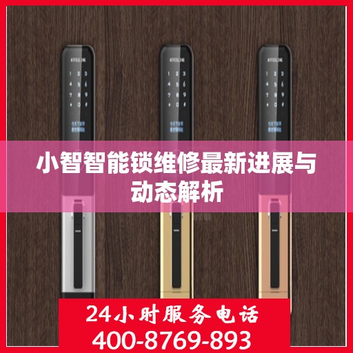 小智智能锁维修最新进展与动态解析