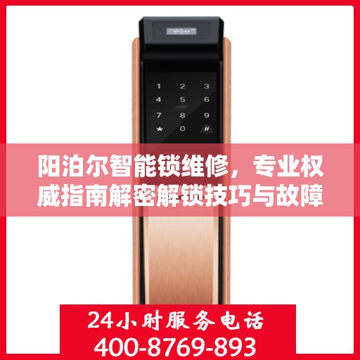阳泊尔智能锁维修，专业权威指南解密解锁技巧与故障排除秘籍