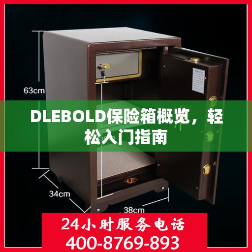 DLEBOLD保险箱概览，轻松入门指南