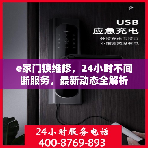 e家门锁维修，24小时不间断服务，最新动态全解析