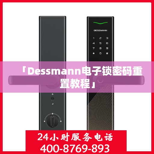 「Dessmann电子锁密码重置教程」