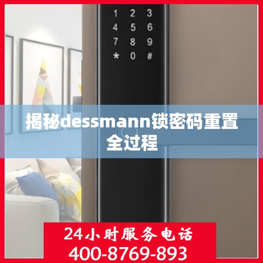 揭秘dessmann锁密码重置全过程