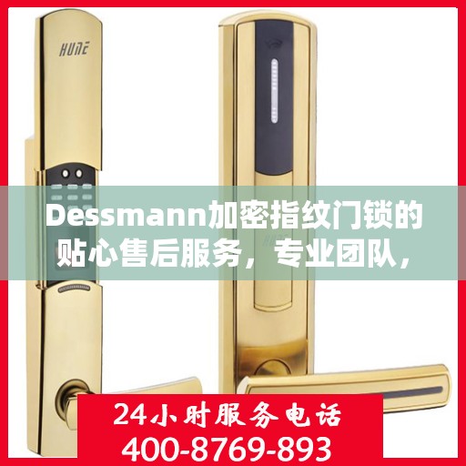 Dessmann加密指纹门锁的贴心售后服务，专业团队，全方位保障