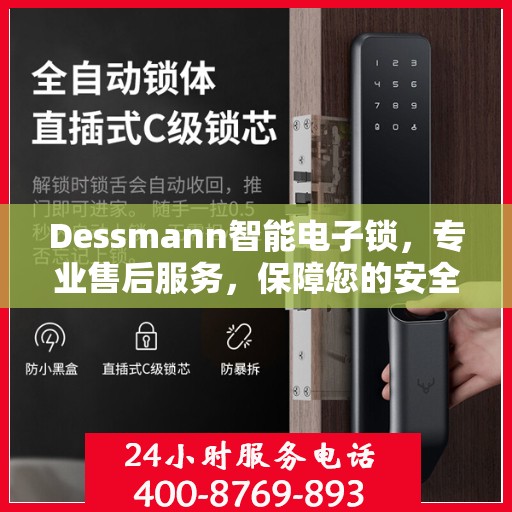 Dessmann智能电子锁，专业售后服务，保障您的安全之选