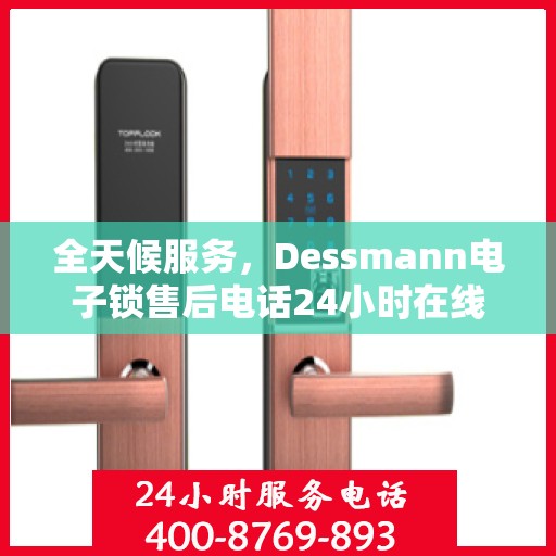 全天候服务，Dessmann电子锁售后电话24小时在线