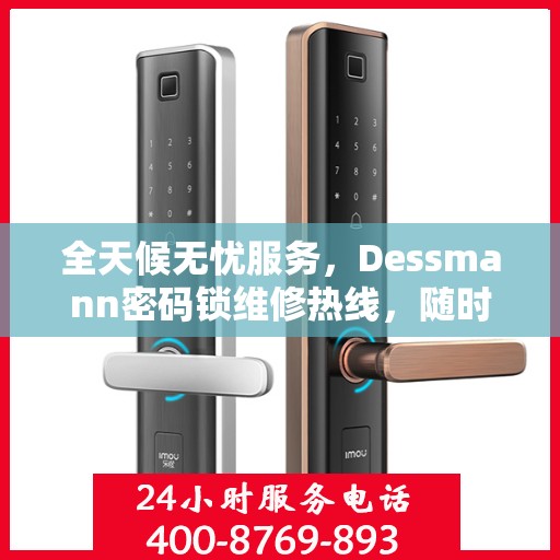全天候无忧服务，Dessmann密码锁维修热线，随时响应您的需求