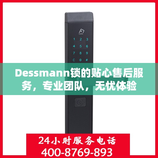 Dessmann锁的贴心售后服务，专业团队，无忧体验