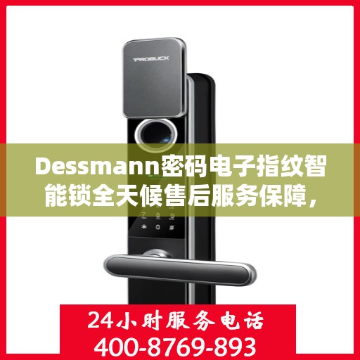 Dessmann密码电子指纹智能锁全天候售后服务保障，开启智能安全新纪元
