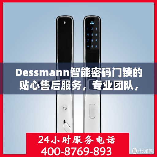 Dessmann智能密码门锁的贴心售后服务，专业团队，无忧体验