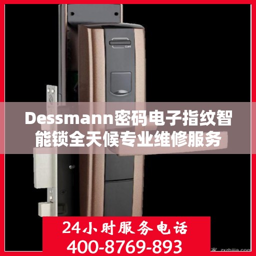 Dessmann密码电子指纹智能锁全天候专业维修服务