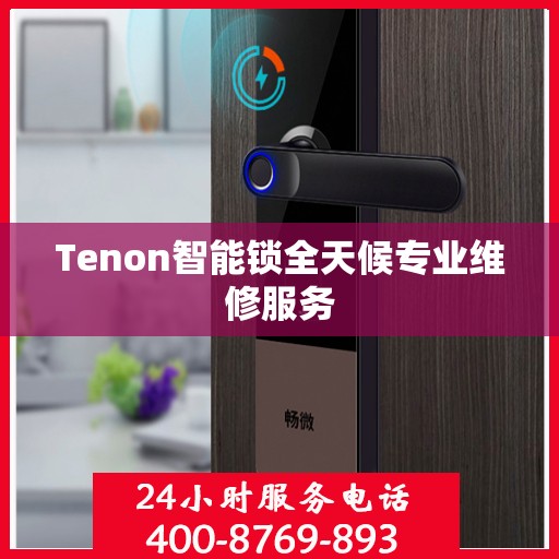 Tenon智能锁全天候专业维修服务