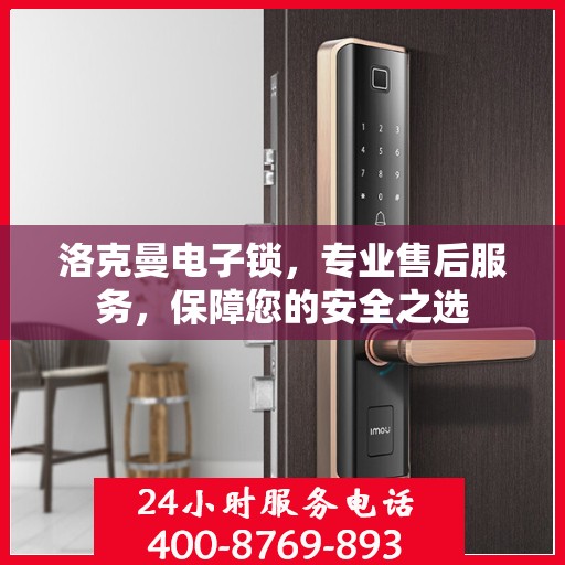 洛克曼电子锁，专业售后服务，保障您的安全之选