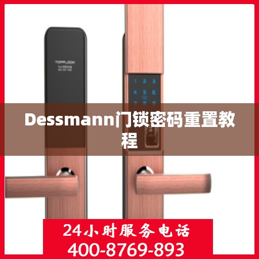 Dessmann门锁密码重置教程