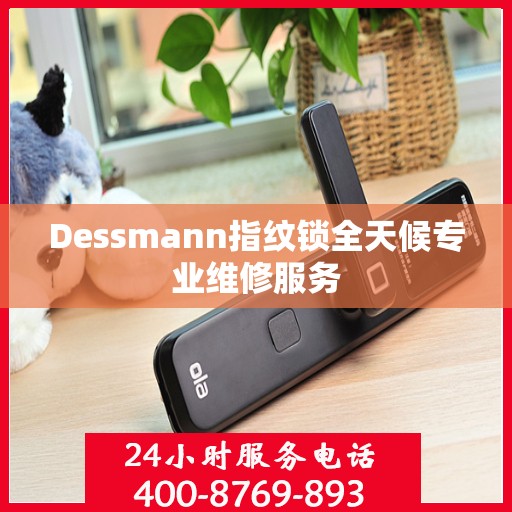Dessmann指纹锁全天候专业维修服务
