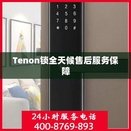 Tenon锁全天候售后服务保障