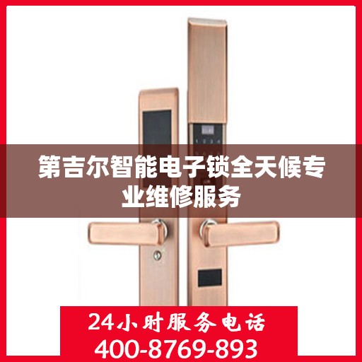 第吉尔智能电子锁全天候专业维修服务
