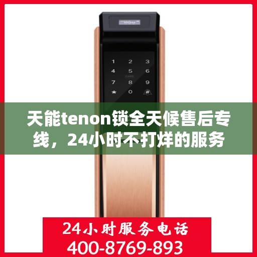 天能tenon锁全天候售后专线，24小时不打烊的服务承诺
