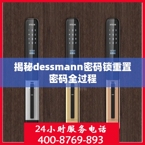 揭秘dessmann密码锁重置密码全过程