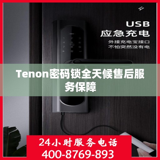Tenon密码锁全天候售后服务保障