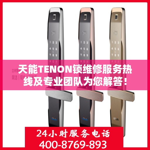 天能TENON锁维修服务热线及专业团队为您解答！
