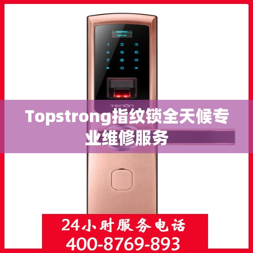 Topstrong指纹锁全天候专业维修服务