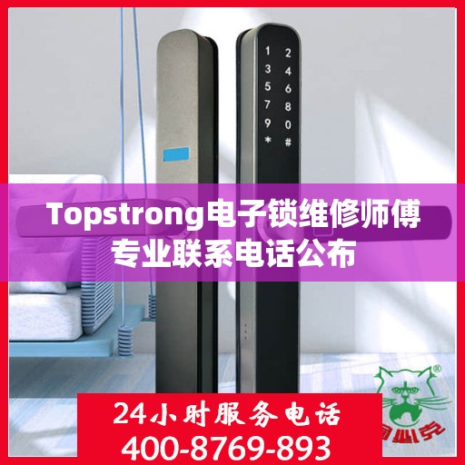 Topstrong电子锁维修师傅专业联系电话公布
