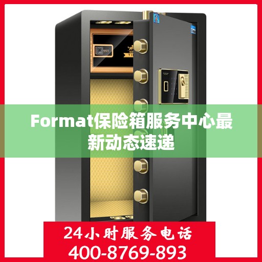 Format保险箱服务中心最新动态速递