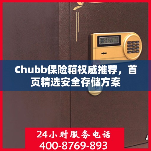 Chubb保险箱权威推荐，首页精选安全存储方案