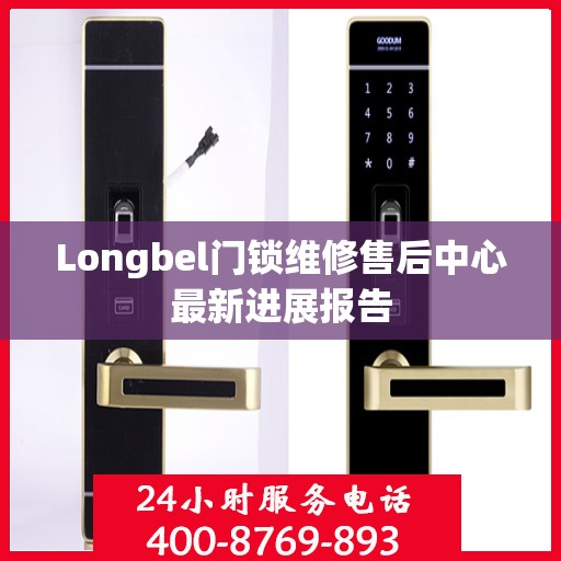 Longbel门锁维修售后中心最新进展报告