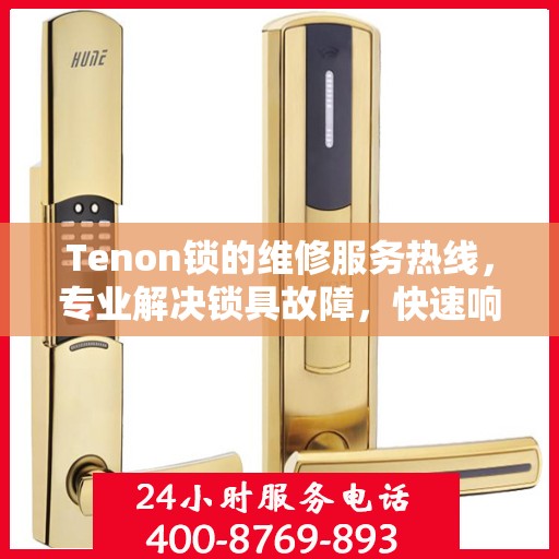 Tenon锁的维修服务热线，专业解决锁具故障，快速响应您的需求。